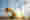 Crane – Thumbnail