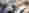 Gear wheel – Thumbnail