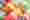 Macarons – Thumbnail