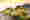Wine grapes and cheese – Thumbnail