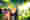 Woman at wineyard – Thumbnail