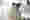 Young female at screen – Thumbnail